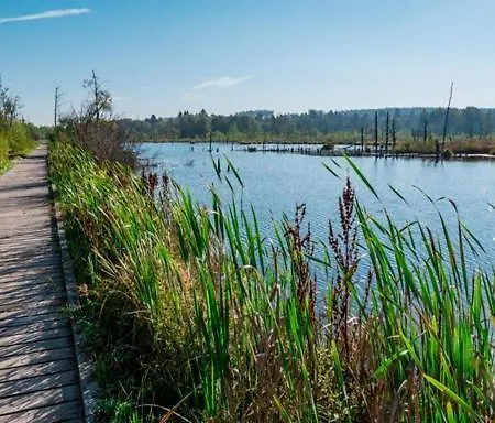 דירה My Am Dissenhorn *