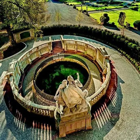 My Am Dissenhorn Rottweil