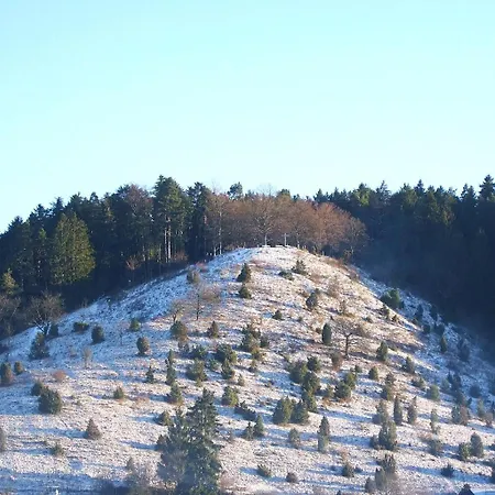 My Am Dissenhorn דירה רוטווייל