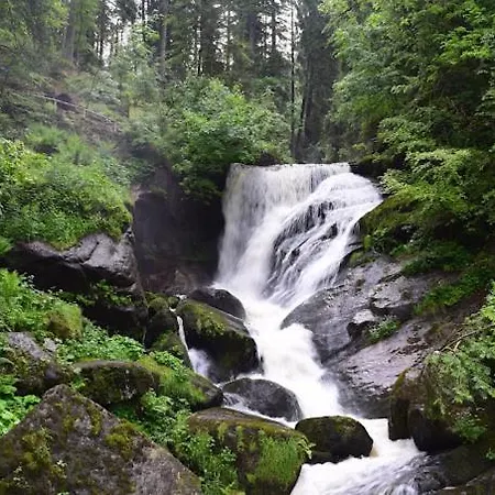 My Am Dissenhorn Rottweil
